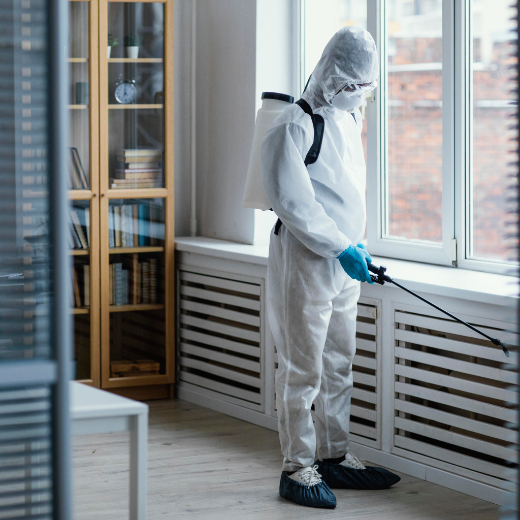 Expert Bed Bug Exterminator