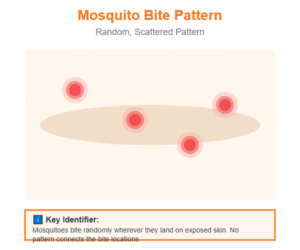 Mosquito Bite Pattern