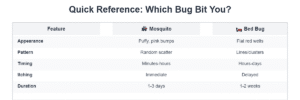 Bed Bug Bites vs Mosquito Bites Quick Reference Guide