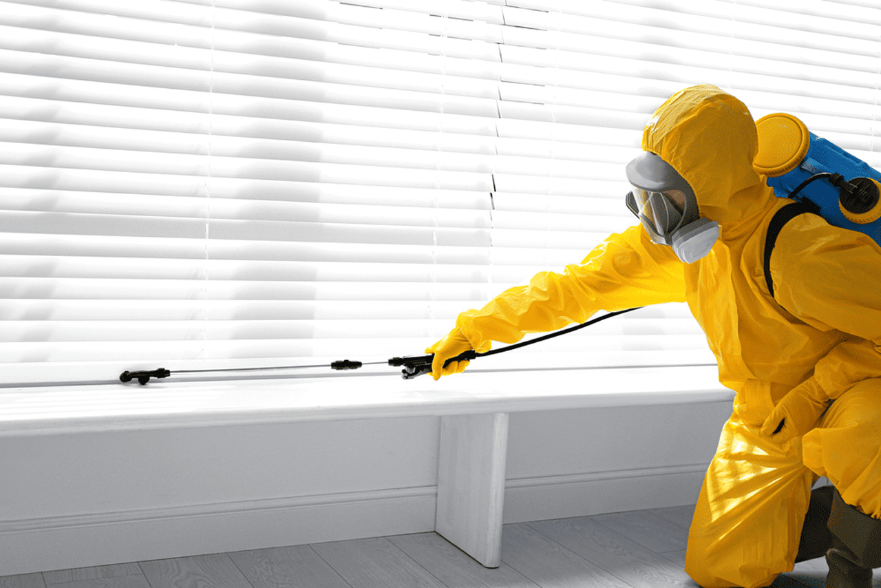 Pest control technician spraying treatment along window blinds