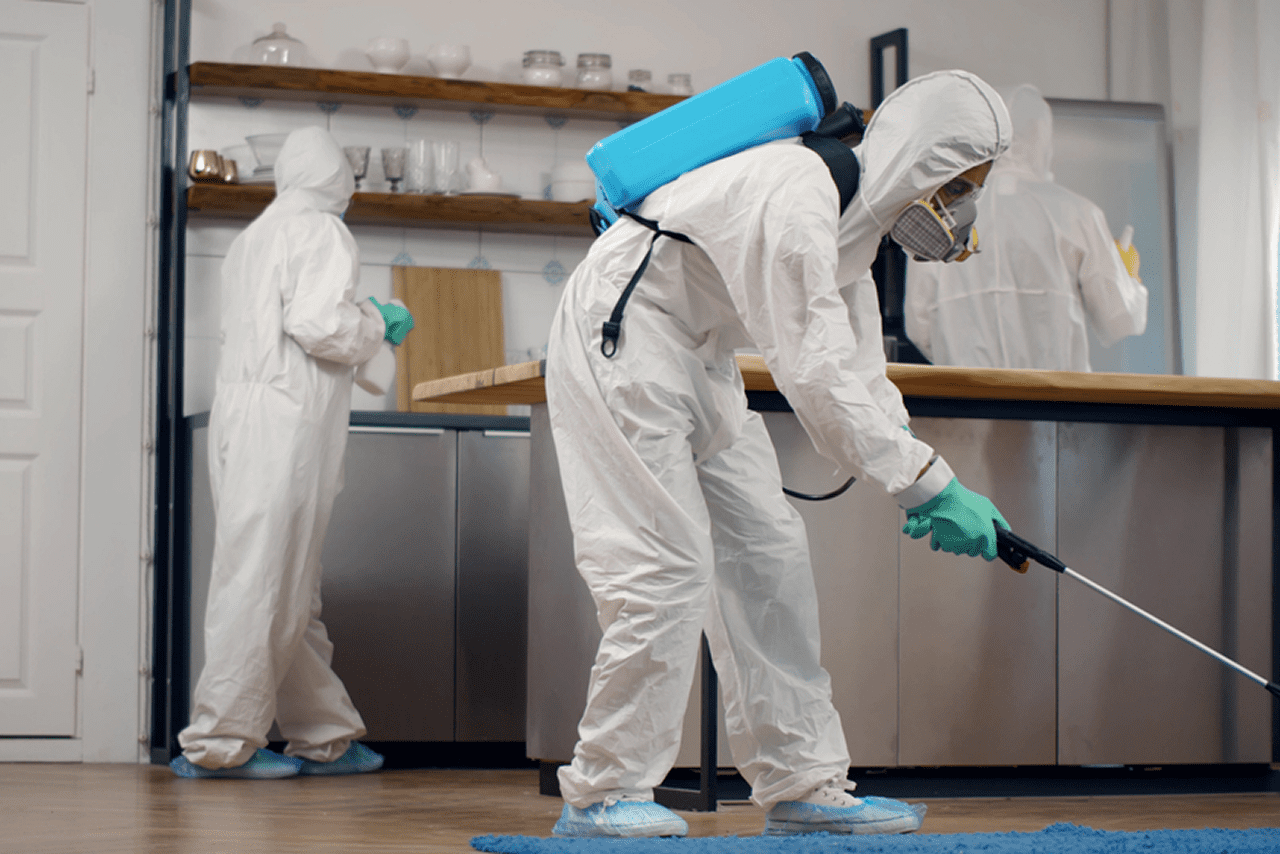 Pest control technicians treating a kitchen with professional equipment