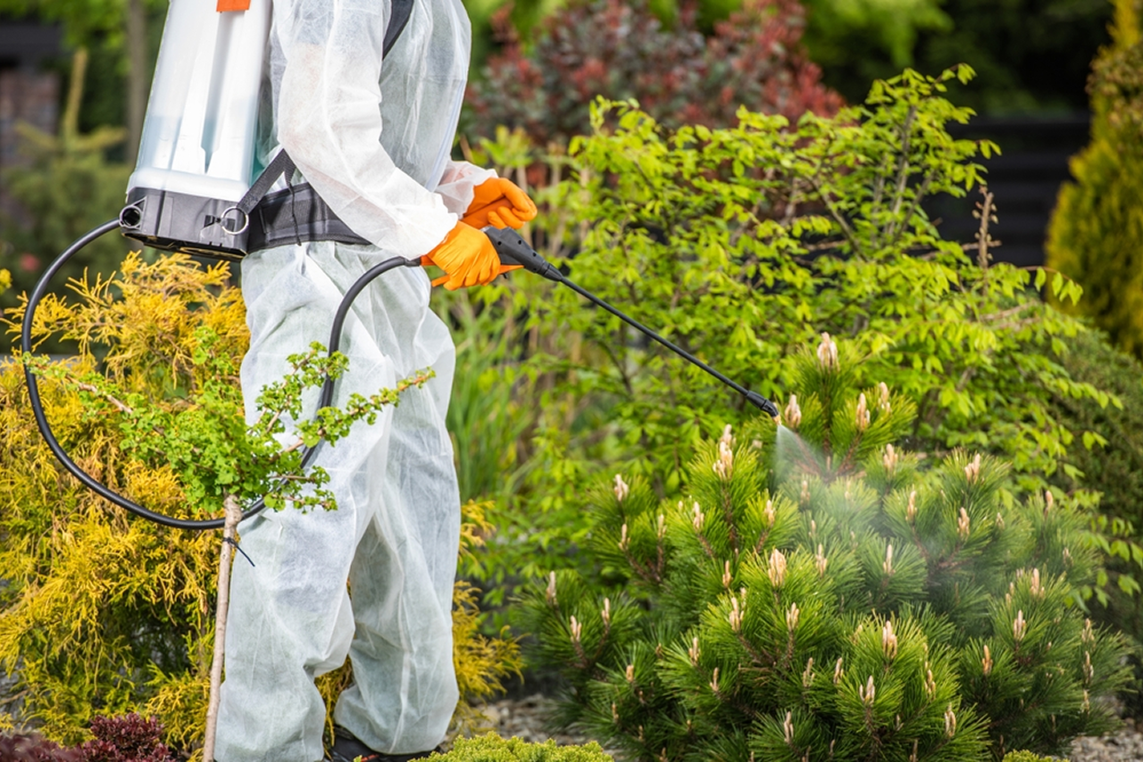Pest control technician applying indoor pest treatment
