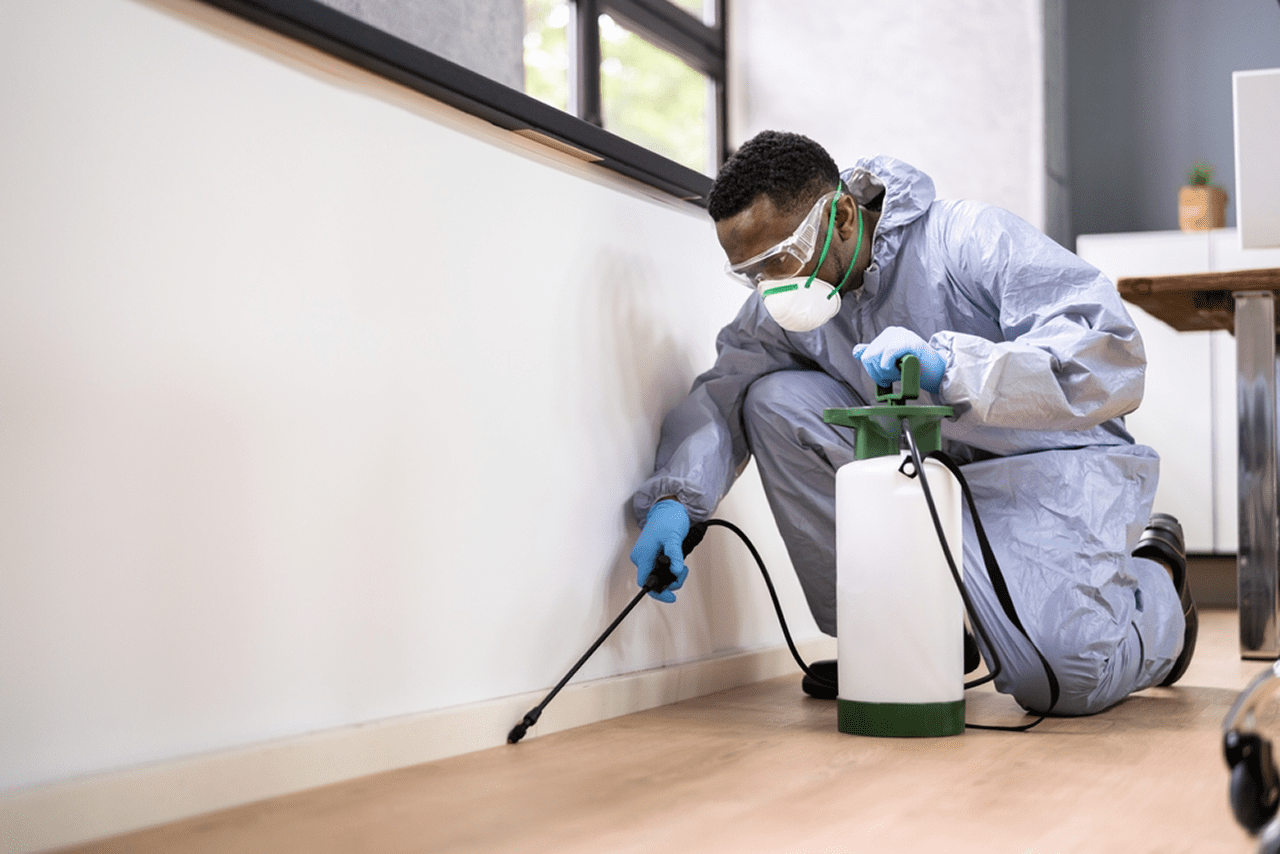 Pest control technician treating a wall along a residential floor