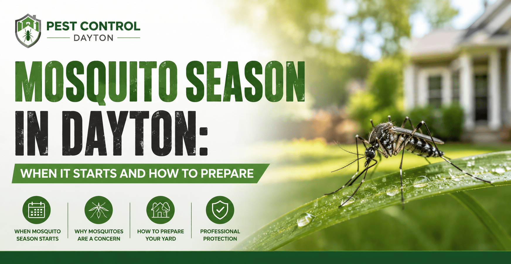 Mosquito Season in Dayton
